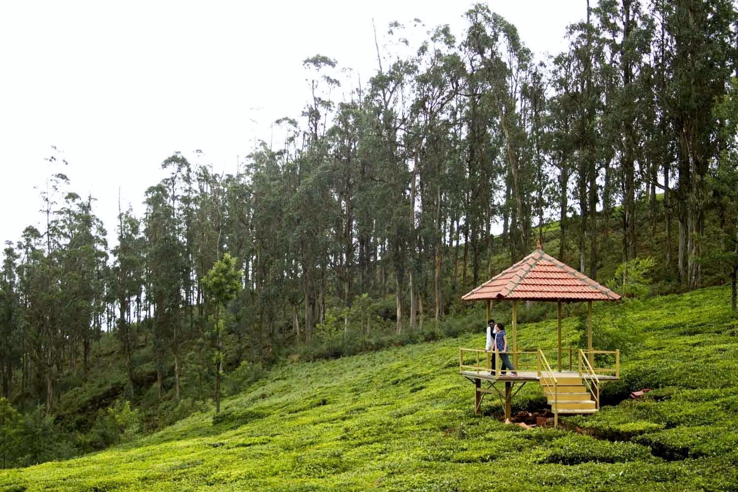 Green Nest Resort Ooty Kotagiri Eksteriør bilde
