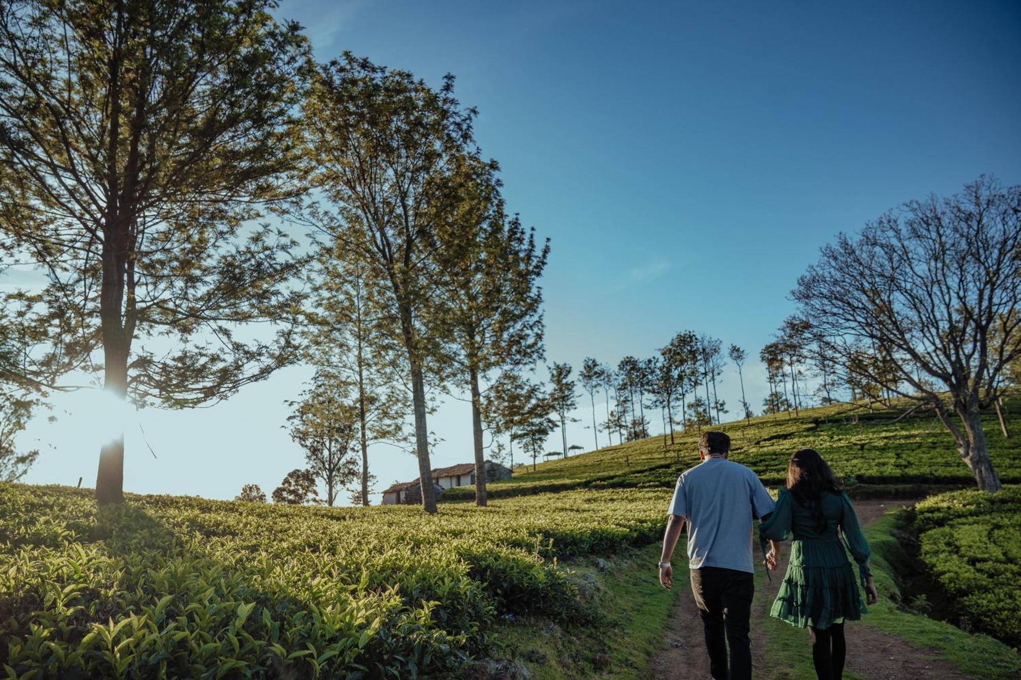 Green Nest Resort Ooty Kotagiri Eksteriør bilde