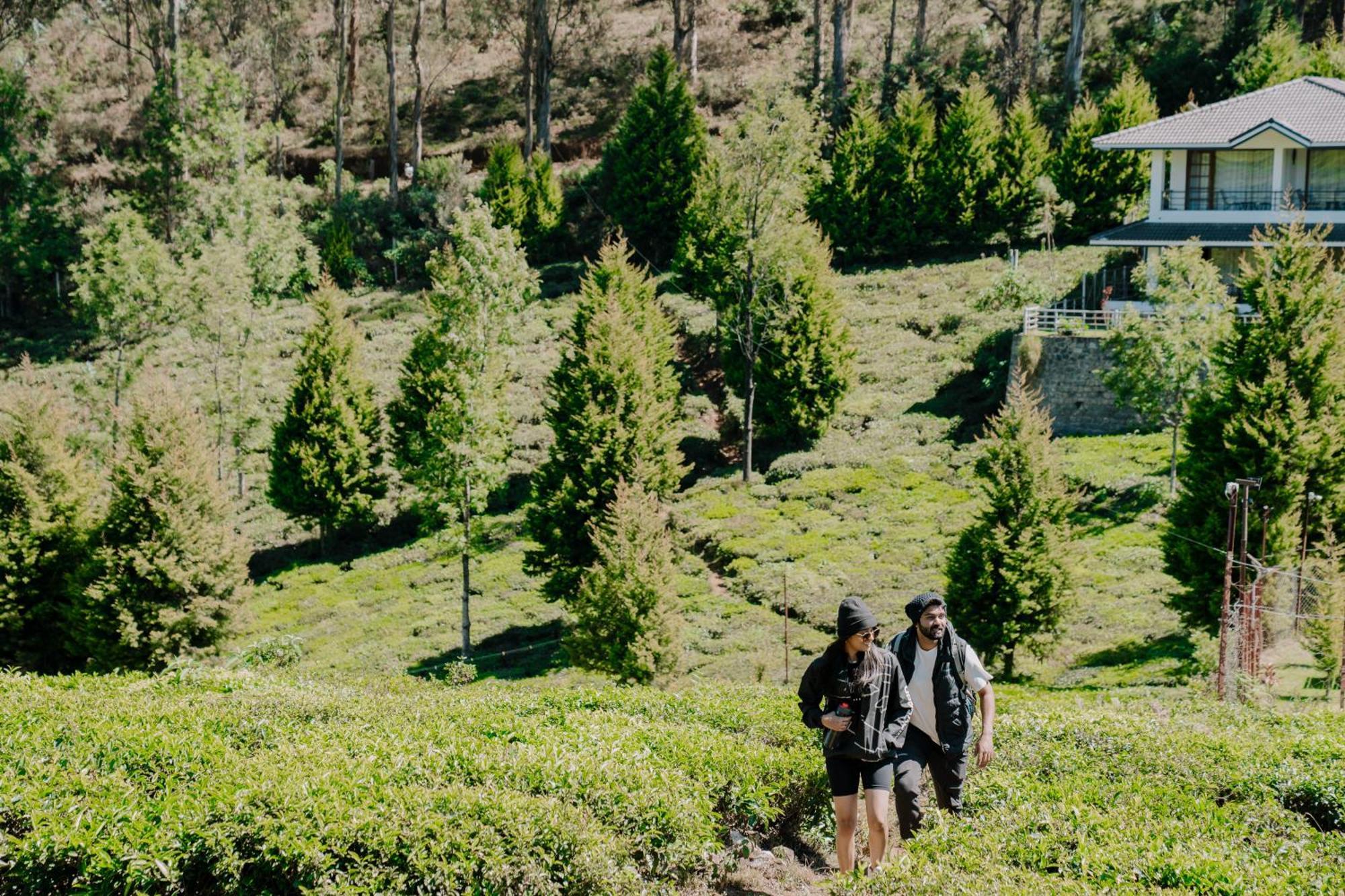 Green Nest Resort Ooty Kotagiri Eksteriør bilde