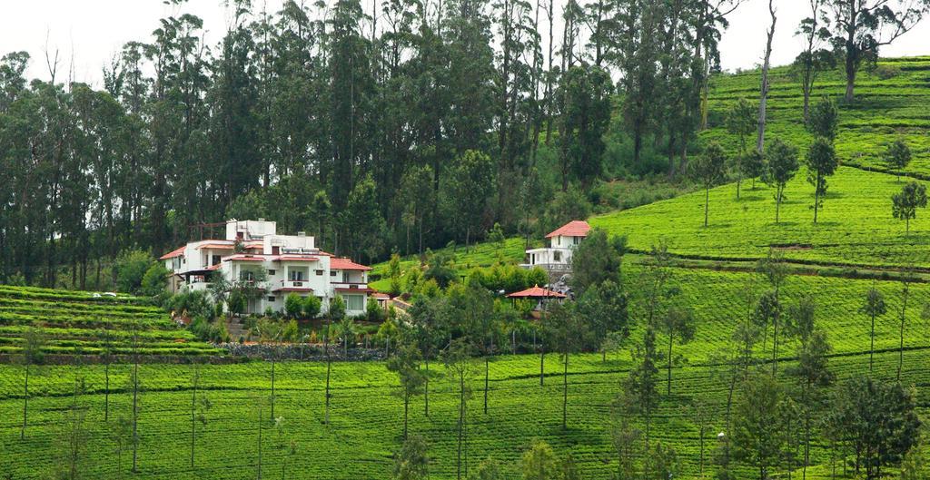 Green Nest Resort Ooty Kotagiri Eksteriør bilde