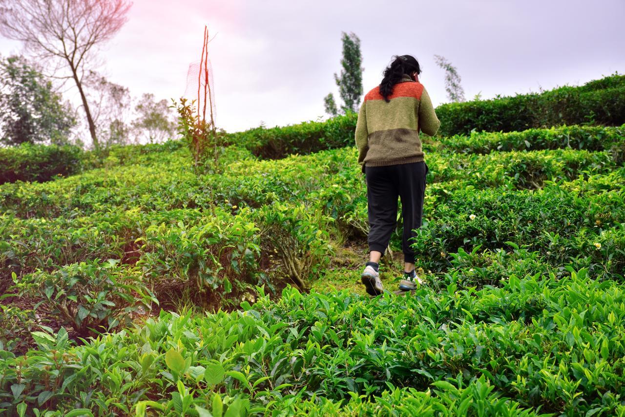 Green Nest Resort Ooty Kotagiri Eksteriør bilde